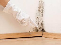 Best Basement Mold Removal  in Long View, NC